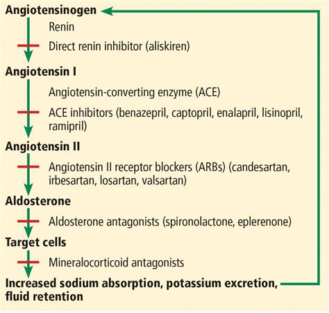 Types of ACE Inhibitors and ARBs