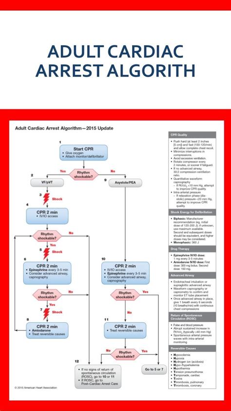 ACLS Algorithm for American Heart Association