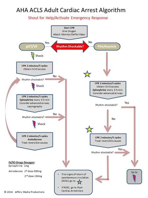 ACLS Algorithm for Asystole