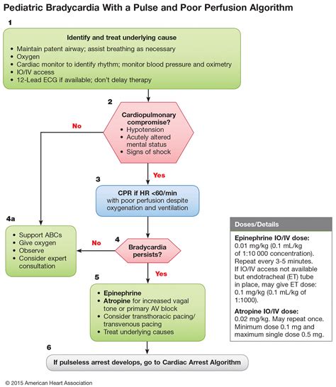 ACLS Algorithm for Bradycardia