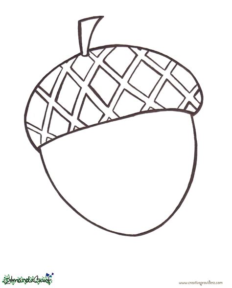 Acorn coloring pages for kids