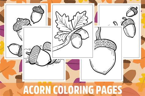 Acorn coloring pages for middle school