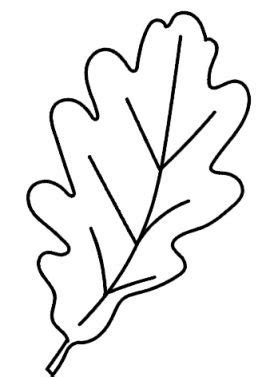 Acorn Leaf Template Free