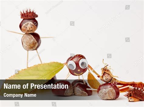 Acorn PowerPoint template