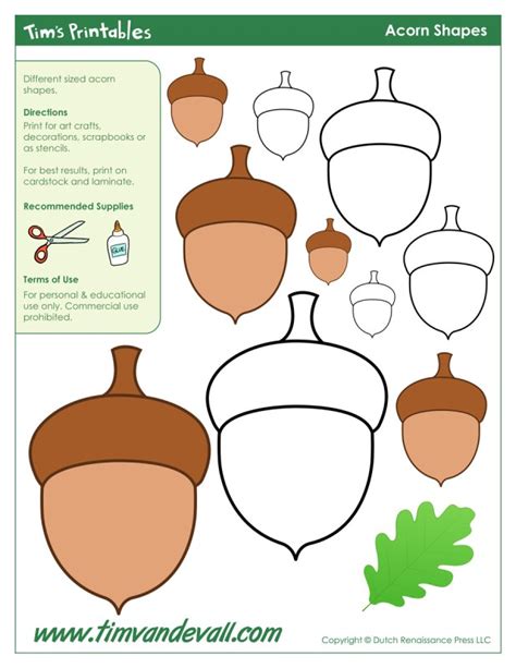 Acorn Template for Educational Purposes