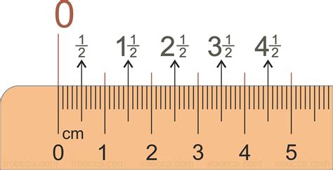 Actual Size MM Printable Ruler Templates