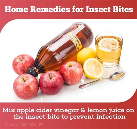 ACV for Bug Bite Relief