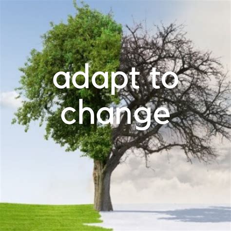 Adapting to Change Image