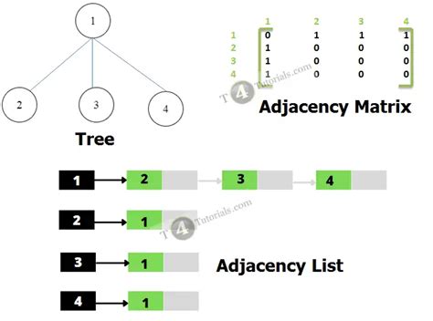 Adjacency Matrix Software