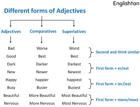 A diagram of adjective forms