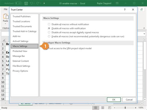 Adjust Macro Settings in Excel