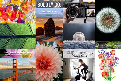 Adobe Spark Vision Board