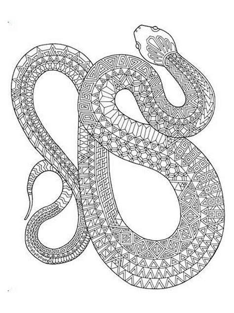 Adult Snake Coloring Pages