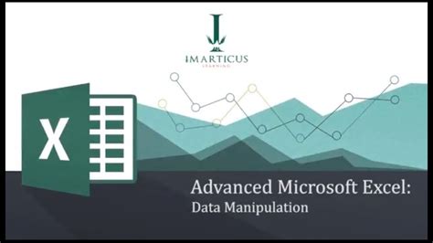 Advanced Data Manipulation Techniques in Excel