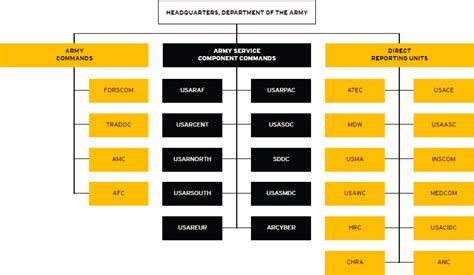 AFC Organizational Chart Overview