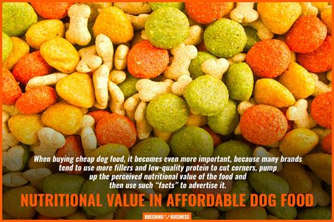 Affordable Canine Food