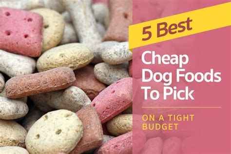 Affordable pet food options