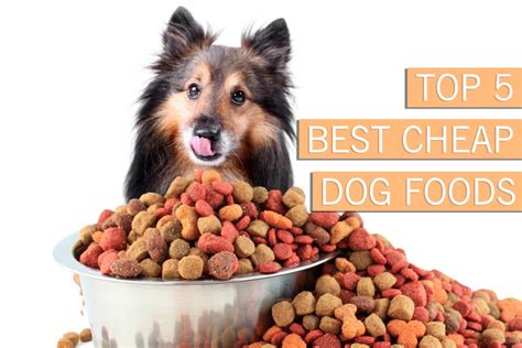 Affordable Pet Food