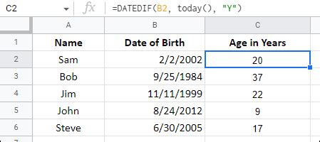 Age Calculation Formulas in Google Sheets