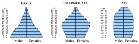 Age Pyramid