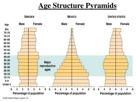 Age Pyramid Analysis