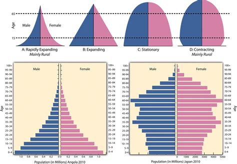 Age Pyramid Example 10