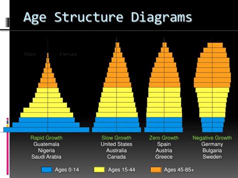 Example of an Age Pyramid with a Rapidly Aging Population