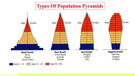 Example of an Age Pyramid with a Low Fertility Rate