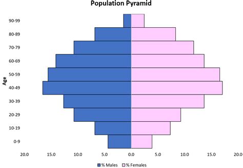 Age Pyramid Excel Template