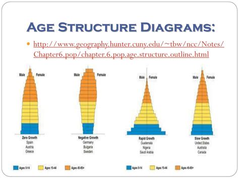 Age structure diagram