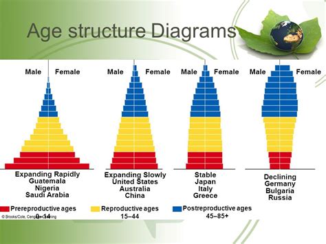 Age structure diagrams are a crucial tool for population analysis