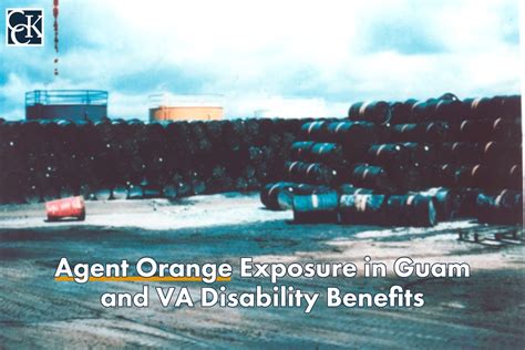 Agent Orange Exposure Conditions