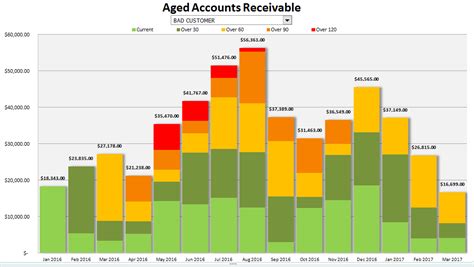 Aging Report with Charts and Analysis