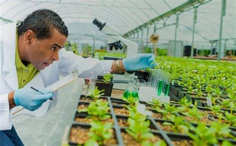 Agricultural biotechnologist careers