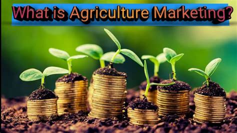 Agricultural Business and Marketing