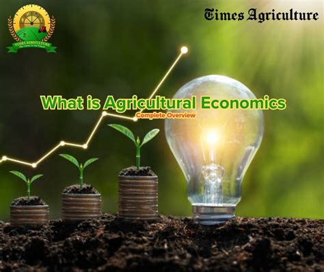 Agricultural economist analyzing market trends