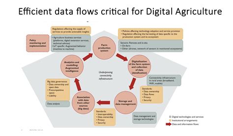 Agricultural economist analyzing data