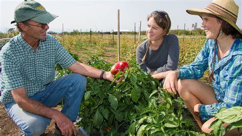 Agricultural education