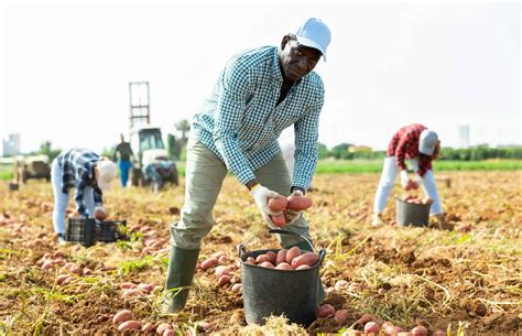 Agricultural jobs