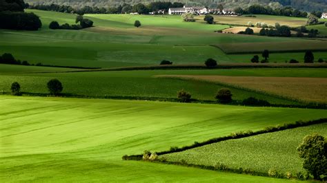 Agricultural Landscape