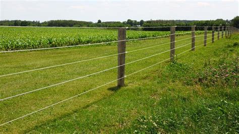 Agricultural Post Electric Fence