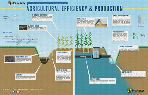 Agricultural Water Management Image