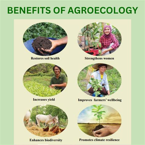 Agroecology for biodiversity conservation