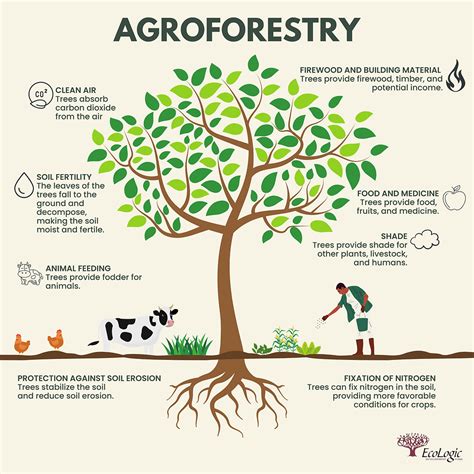 Agroforestry Systems