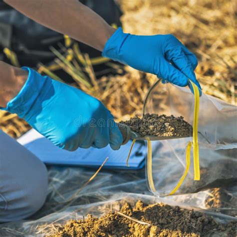 Agronomist testing soil samples