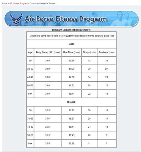 Air Force boot camp physical requirements