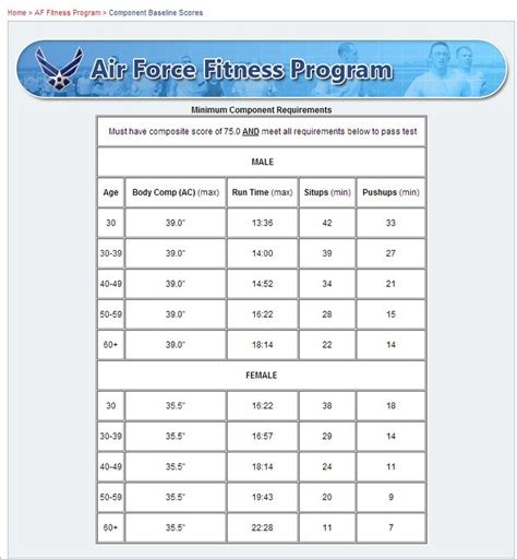 Air Force Fitness Routine