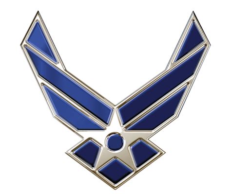 Air Force wings