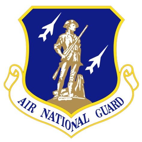 Air National Guard Insignia