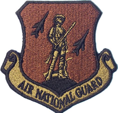 Air National Guard Patch